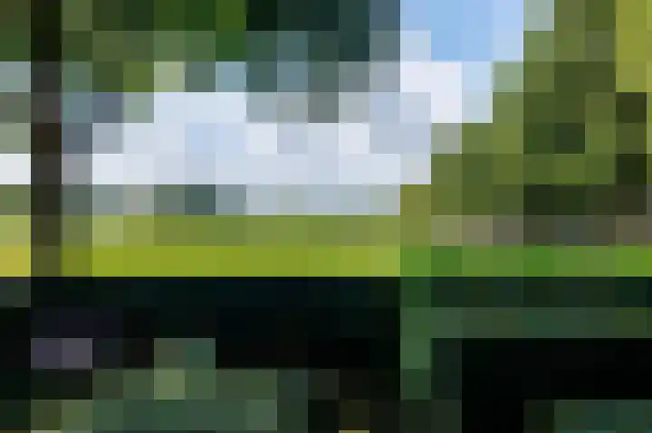 Eekwal 6 Veenendaal thumbnail 44