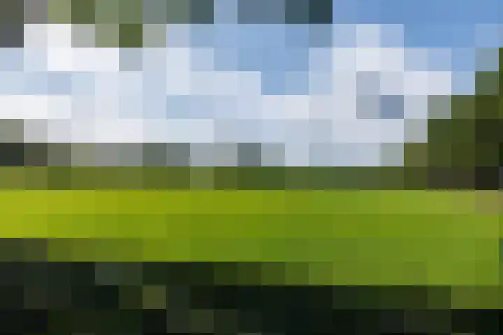Eekwal 6 Veenendaal thumbnail 45