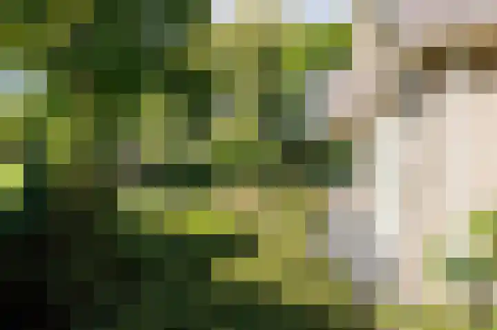 Eekwal 6 Veenendaal thumbnail 48