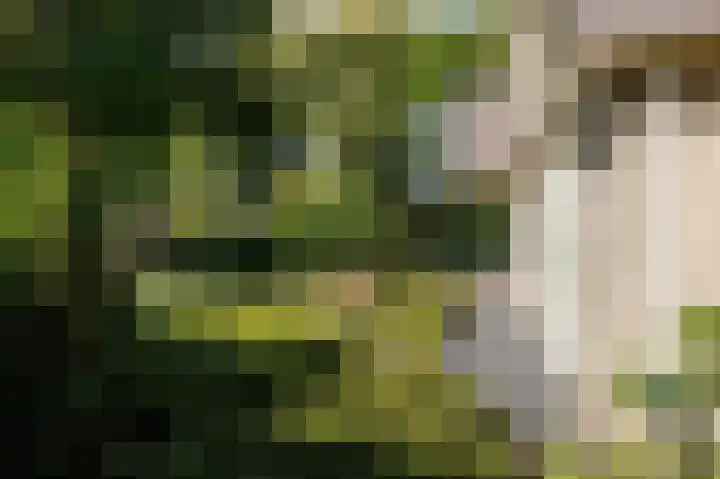 Eekwal 6 Veenendaal thumbnail 49
