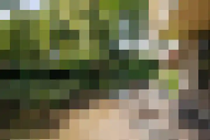Eekwal 6 Veenendaal thumbnail 50