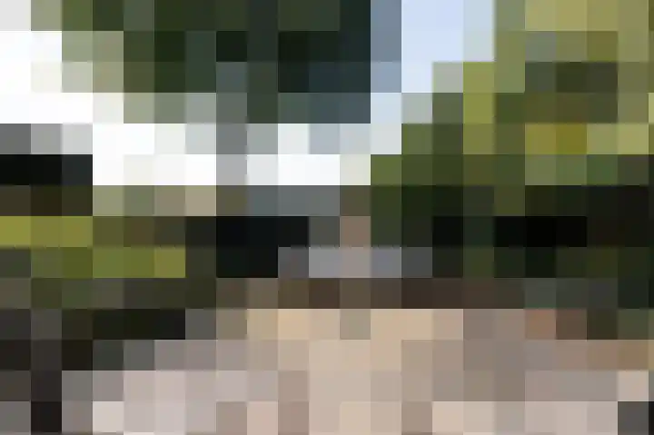 Eekwal 6 Veenendaal thumbnail 51