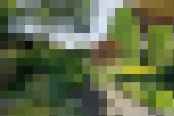 Eekwal 6 Veenendaal thumbnail 52
