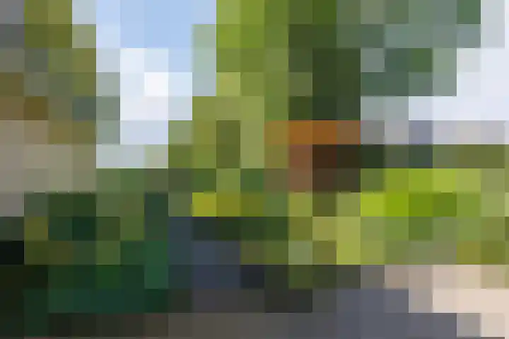 Eekwal 6 Veenendaal thumbnail 53