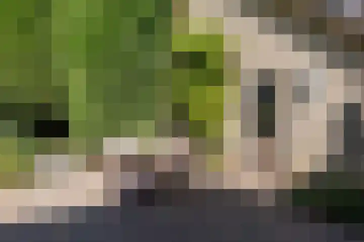 Eekwal 6 Veenendaal thumbnail 54
