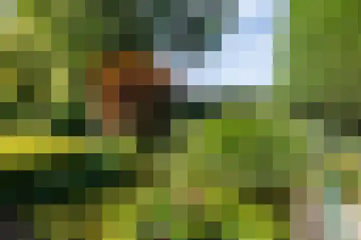 Eekwal 6 Veenendaal thumbnail 55