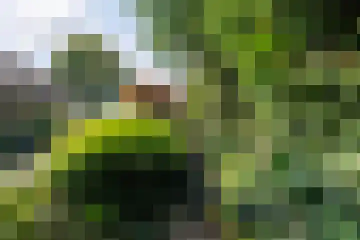 Eekwal 6 Veenendaal thumbnail 56