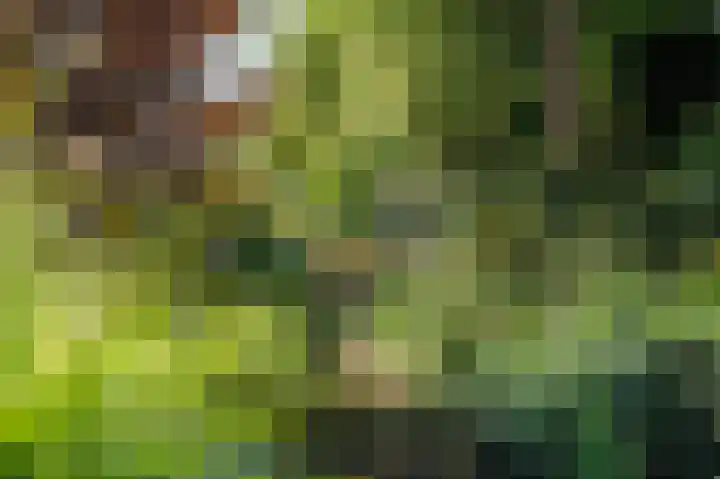 Eekwal 6 Veenendaal thumbnail 57