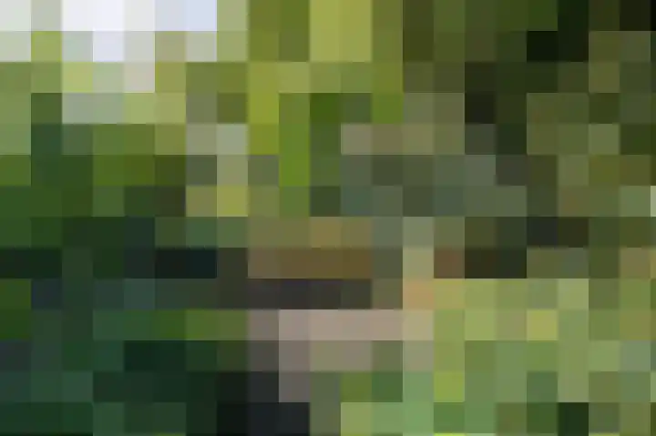 Eekwal 6 Veenendaal thumbnail 58