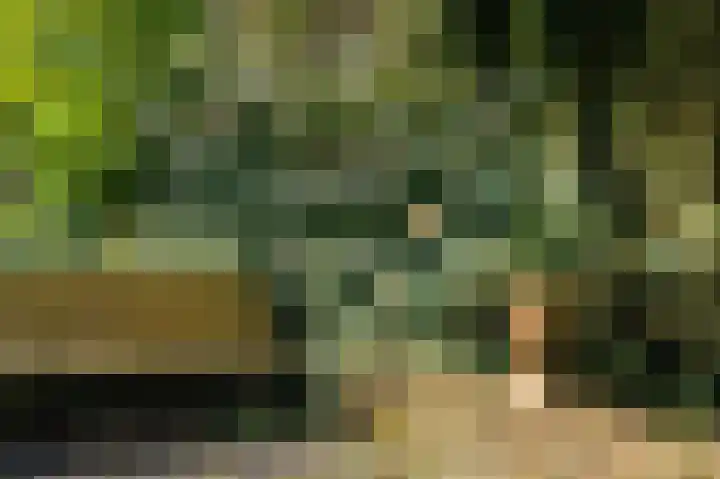 Eekwal 6 Veenendaal thumbnail 59