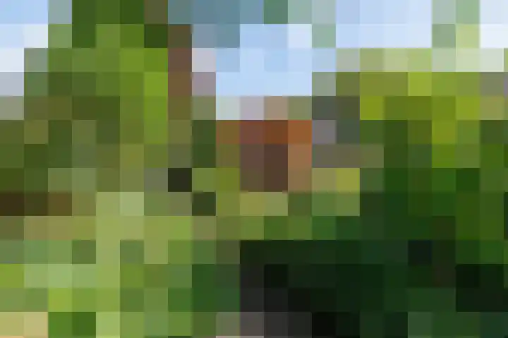 Eekwal 6 Veenendaal thumbnail 60
