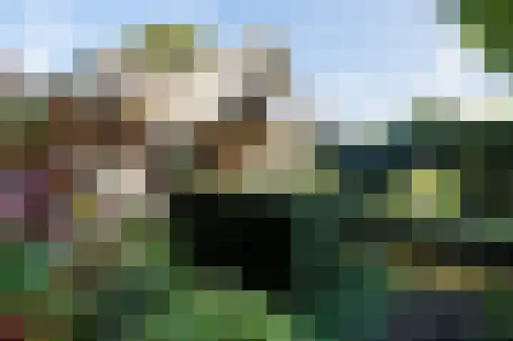 Eekwal 6 Veenendaal thumbnail 62