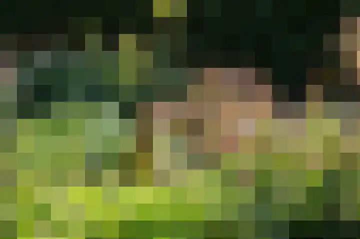 Eekwal 6 Veenendaal thumbnail 63
