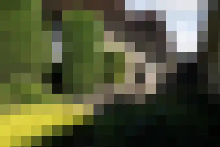 Eekwal 6 Veenendaal thumbnail 64