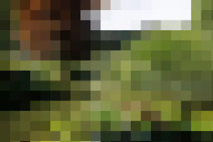 Eekwal 6 Veenendaal thumbnail 65