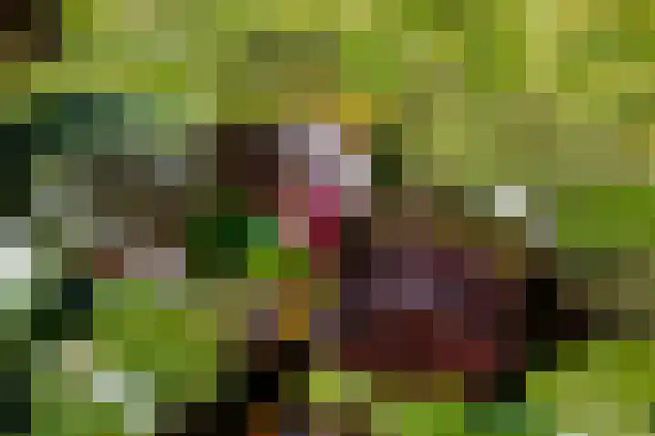 Eekwal 6 Veenendaal thumbnail 66