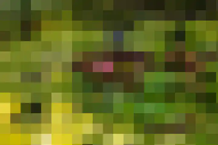 Eekwal 6 Veenendaal thumbnail 67