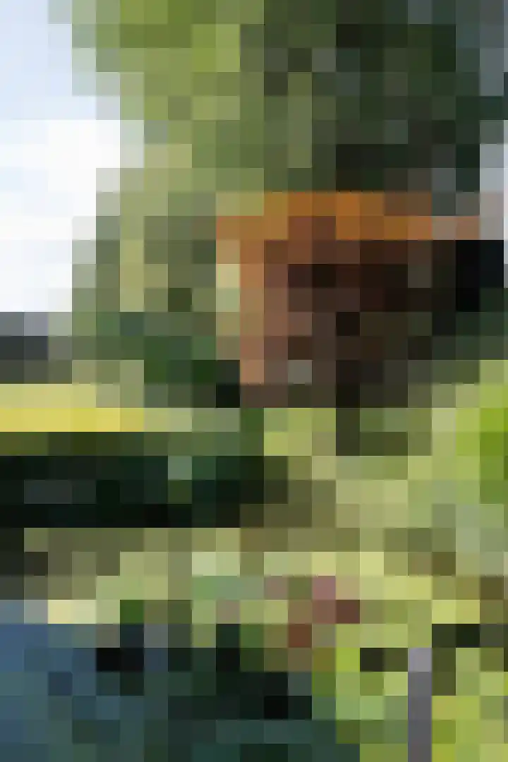 Eekwal 6 Veenendaal thumbnail 68