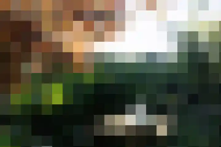 Eekwal 6 Veenendaal thumbnail 69