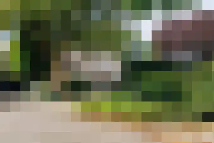 Eekwal 6 Veenendaal thumbnail 71