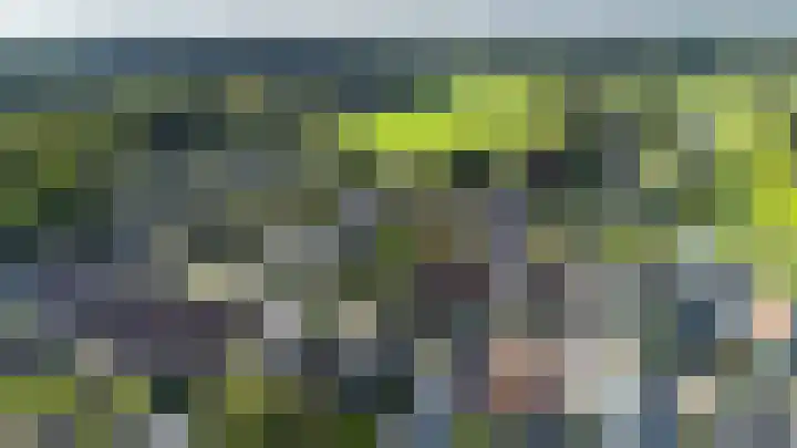 Eekwal 6 Veenendaal thumbnail 74