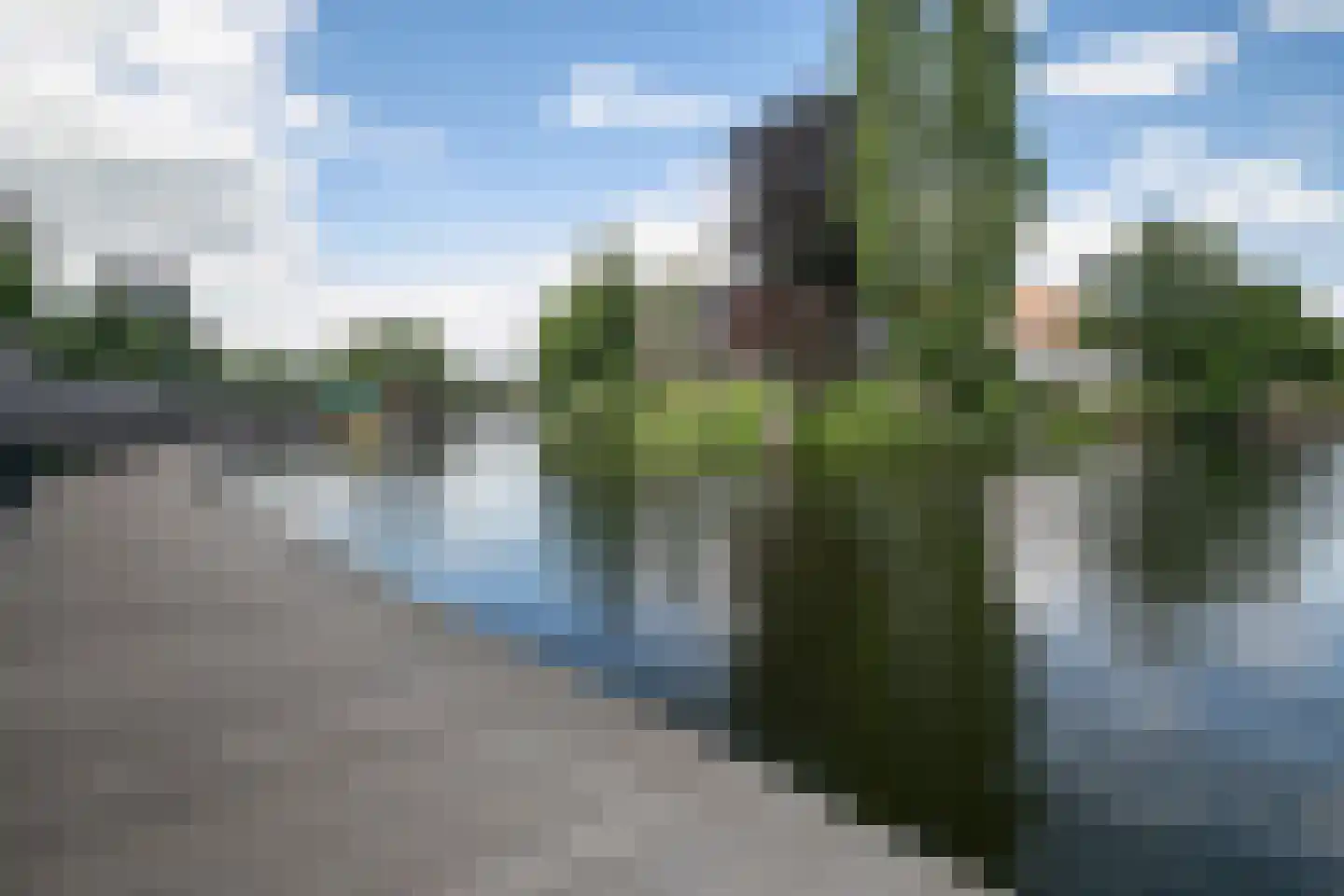 Eekwal 63 Zwolle thumbnail 59