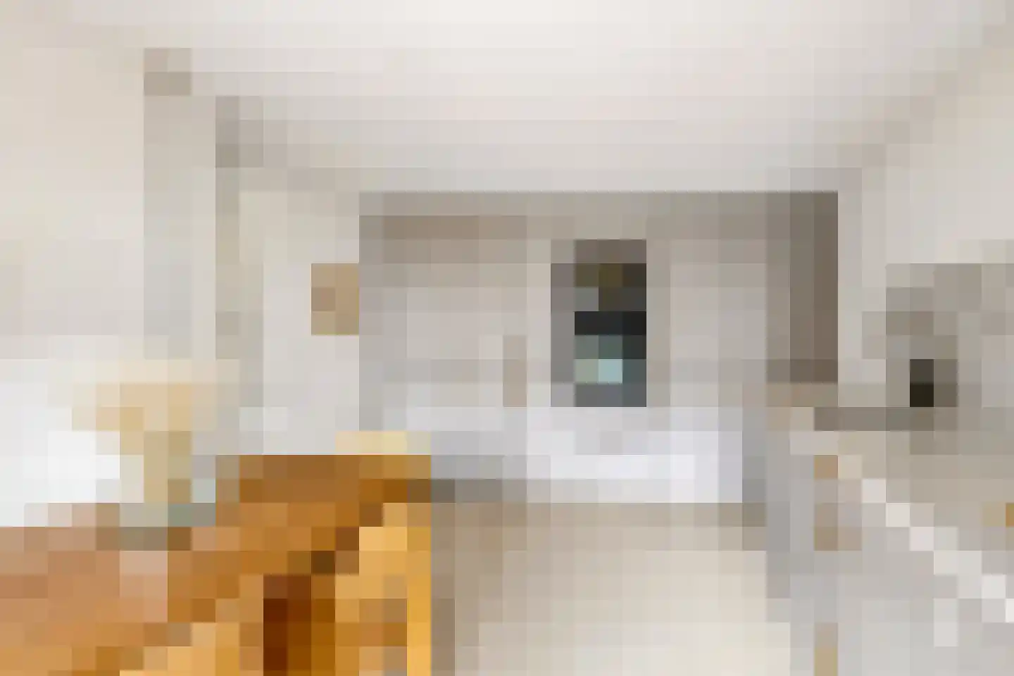 Eekwal 69 Zwolle thumbnail 18