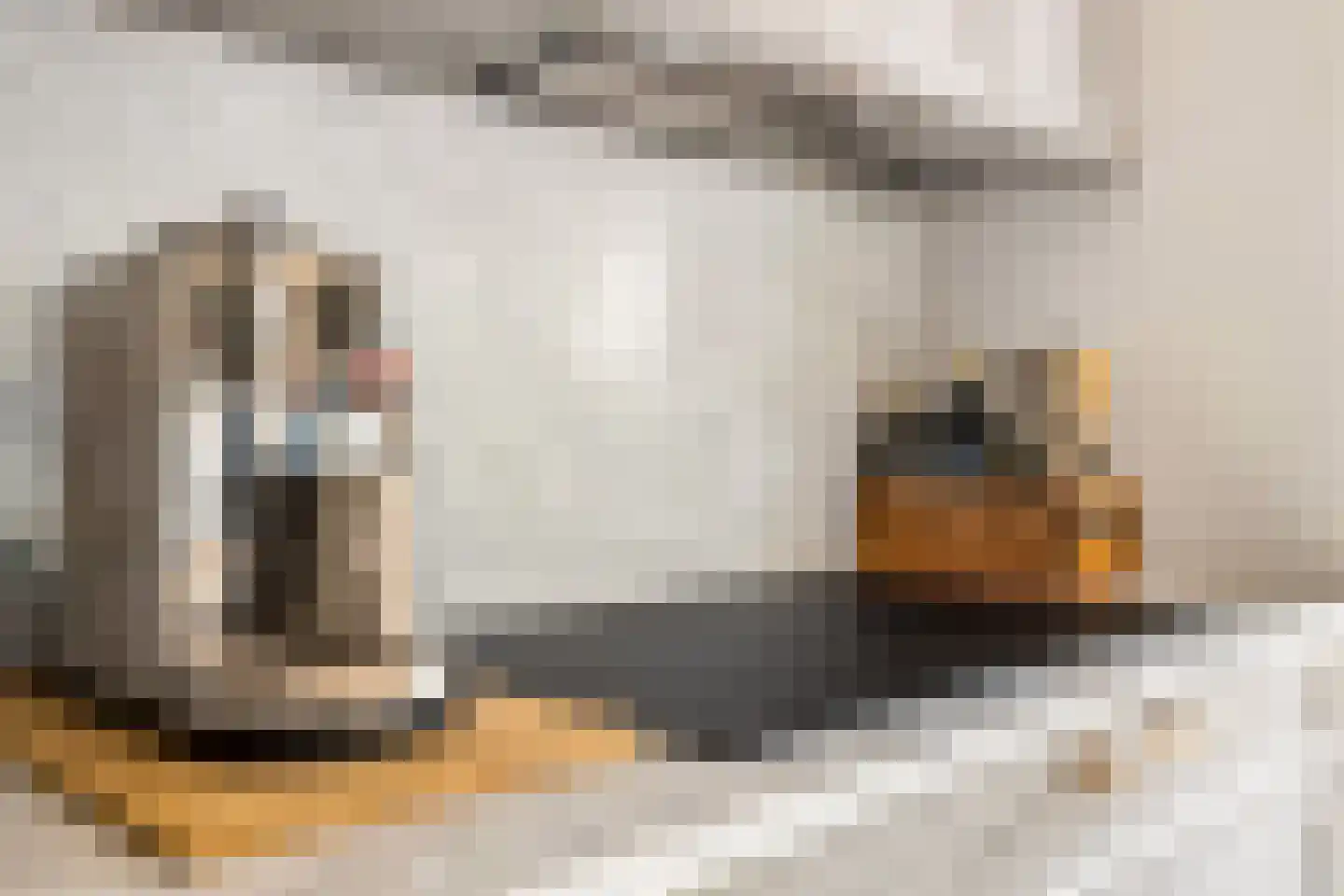 Eekwal 69 Zwolle thumbnail 20