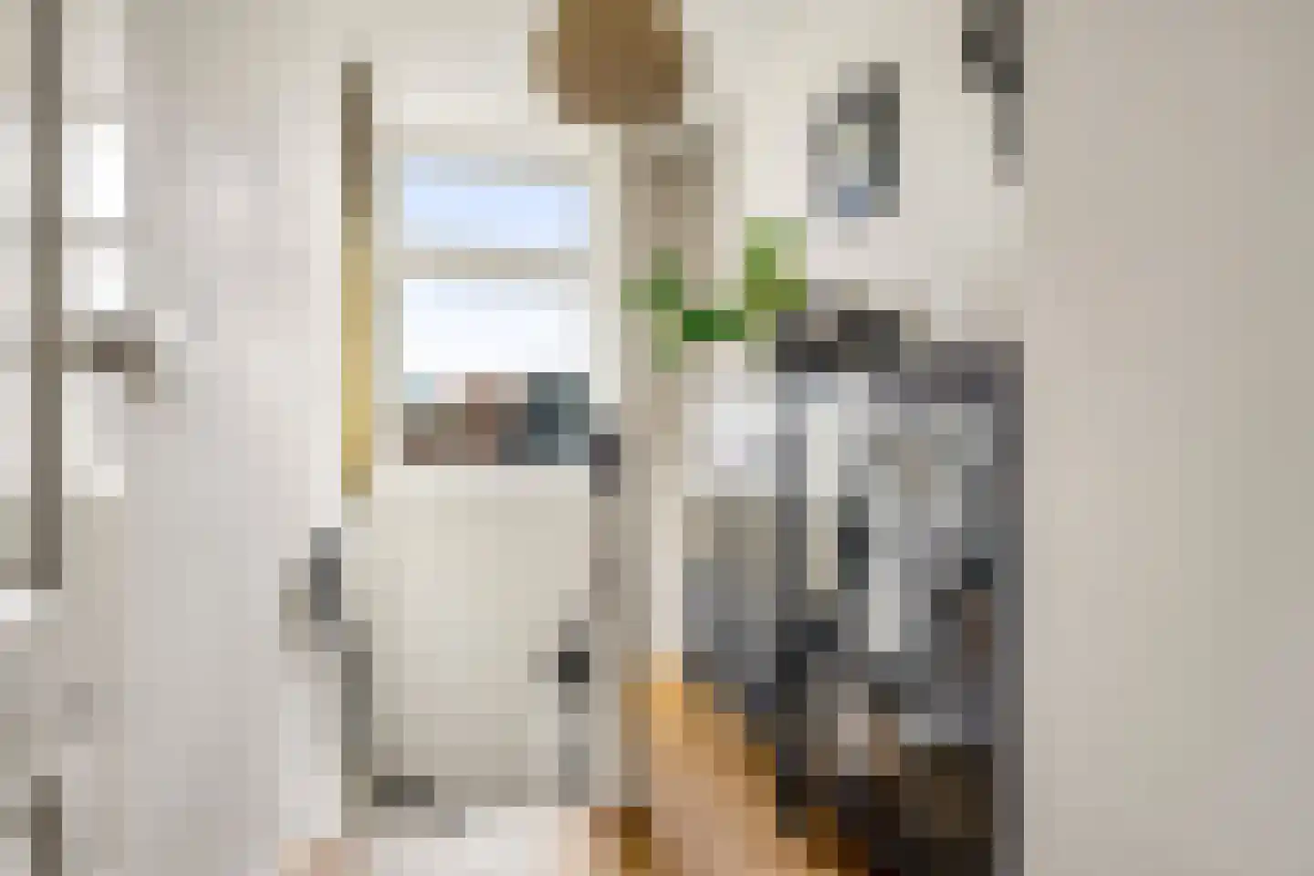 Eekwal 69 Zwolle thumbnail 30