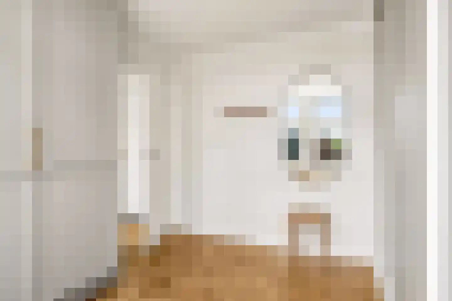 Eekwal 69 Zwolle thumbnail 31