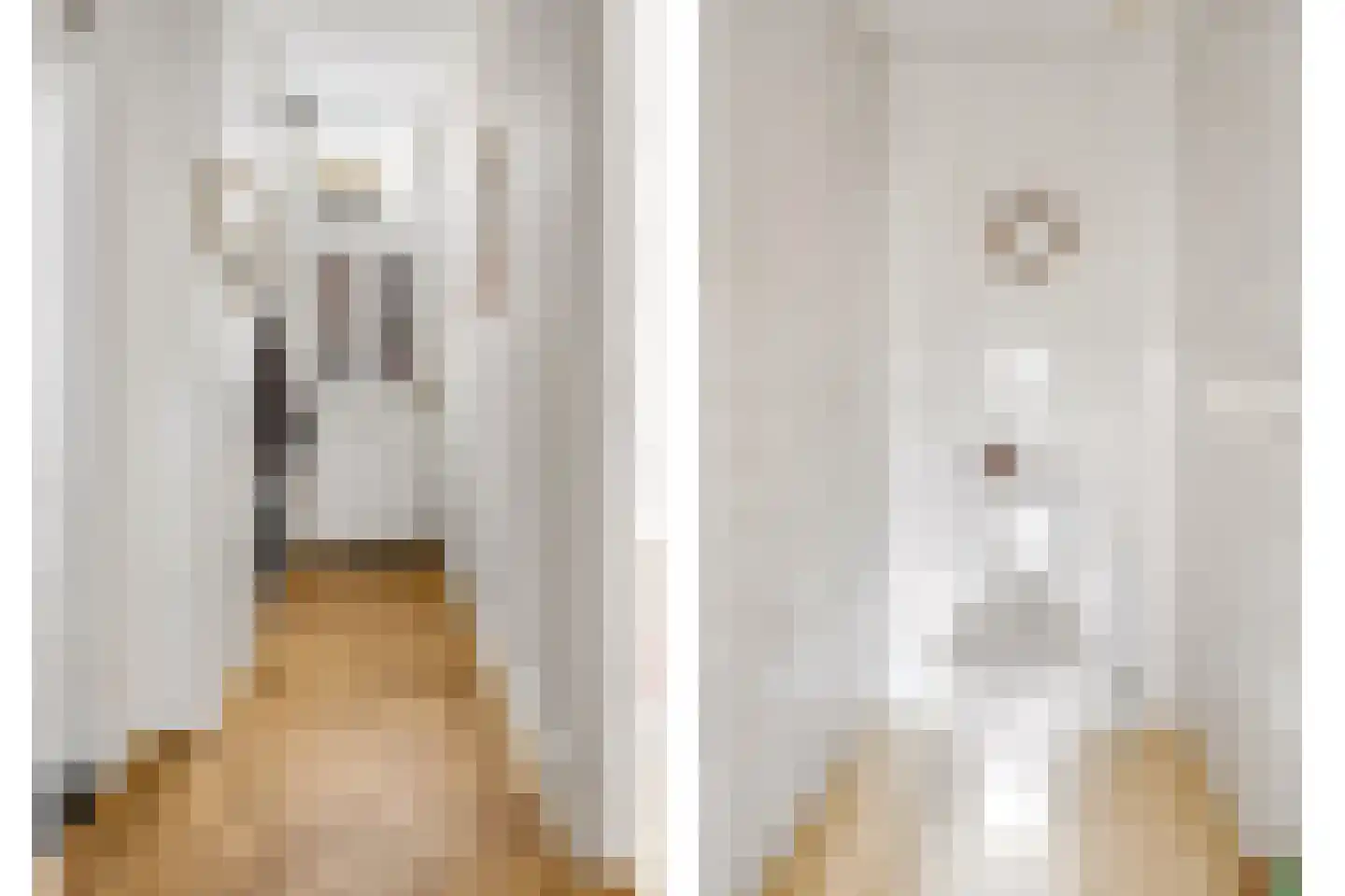 Eekwal 69 Zwolle thumbnail 6