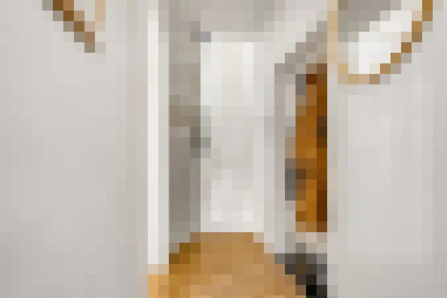 Eekwal 69 Zwolle thumbnail 7