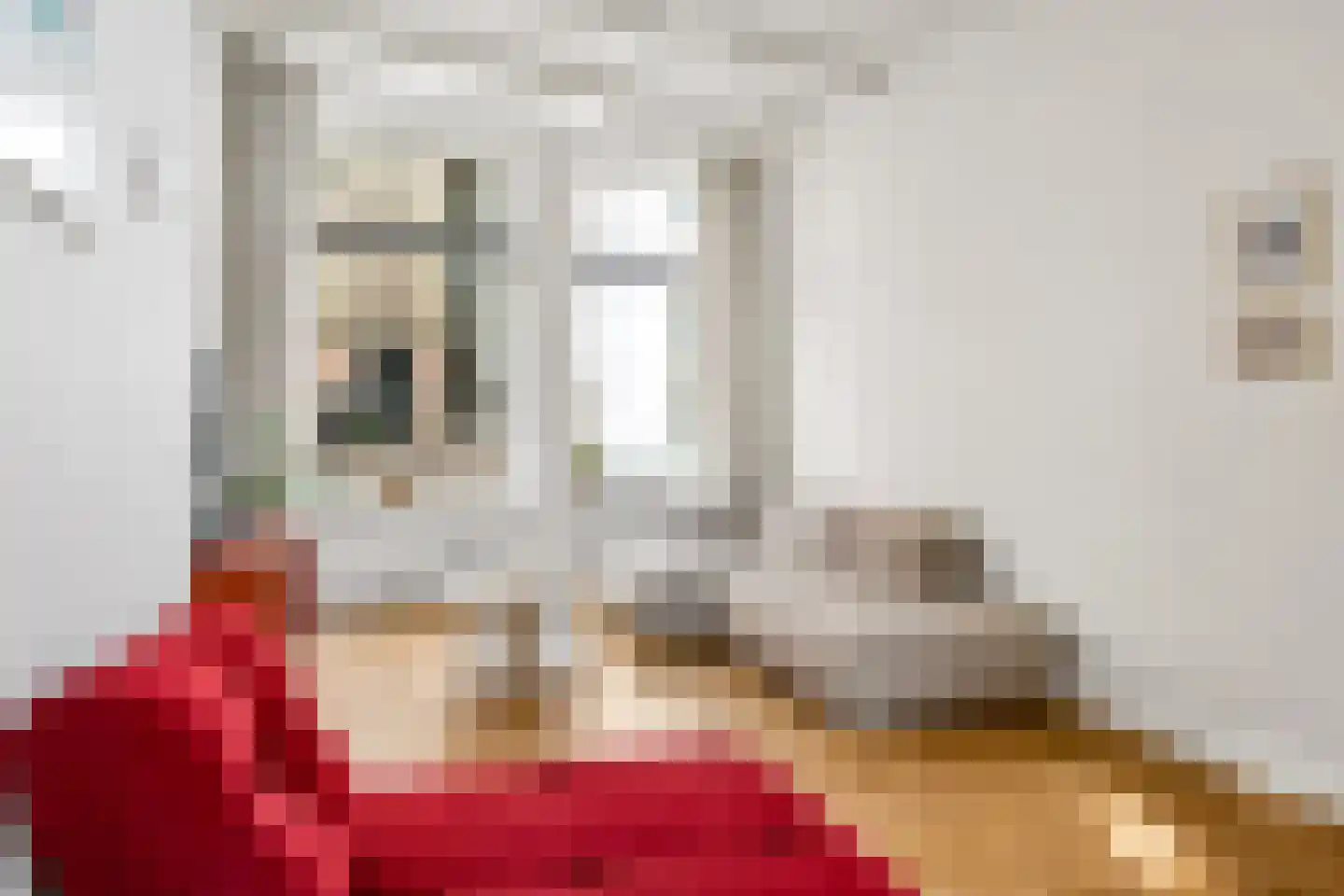 Eekwal 69 Zwolle thumbnail 9