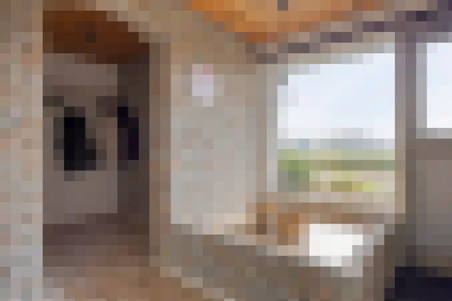 Eekwal 8 Veenendaal thumbnail 10