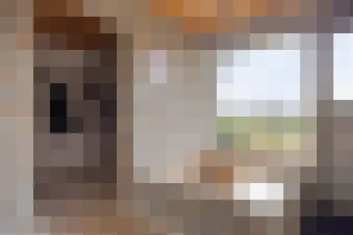 Eekwal 8 Veenendaal thumbnail 10