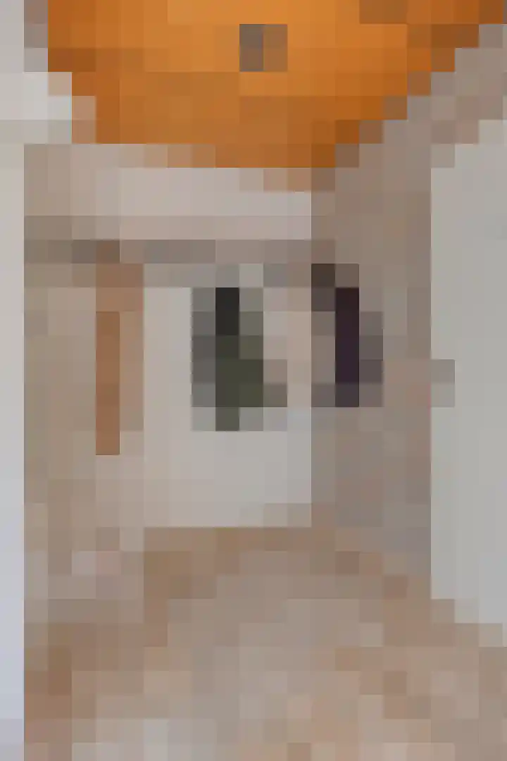 Eekwal 8 Veenendaal thumbnail 11