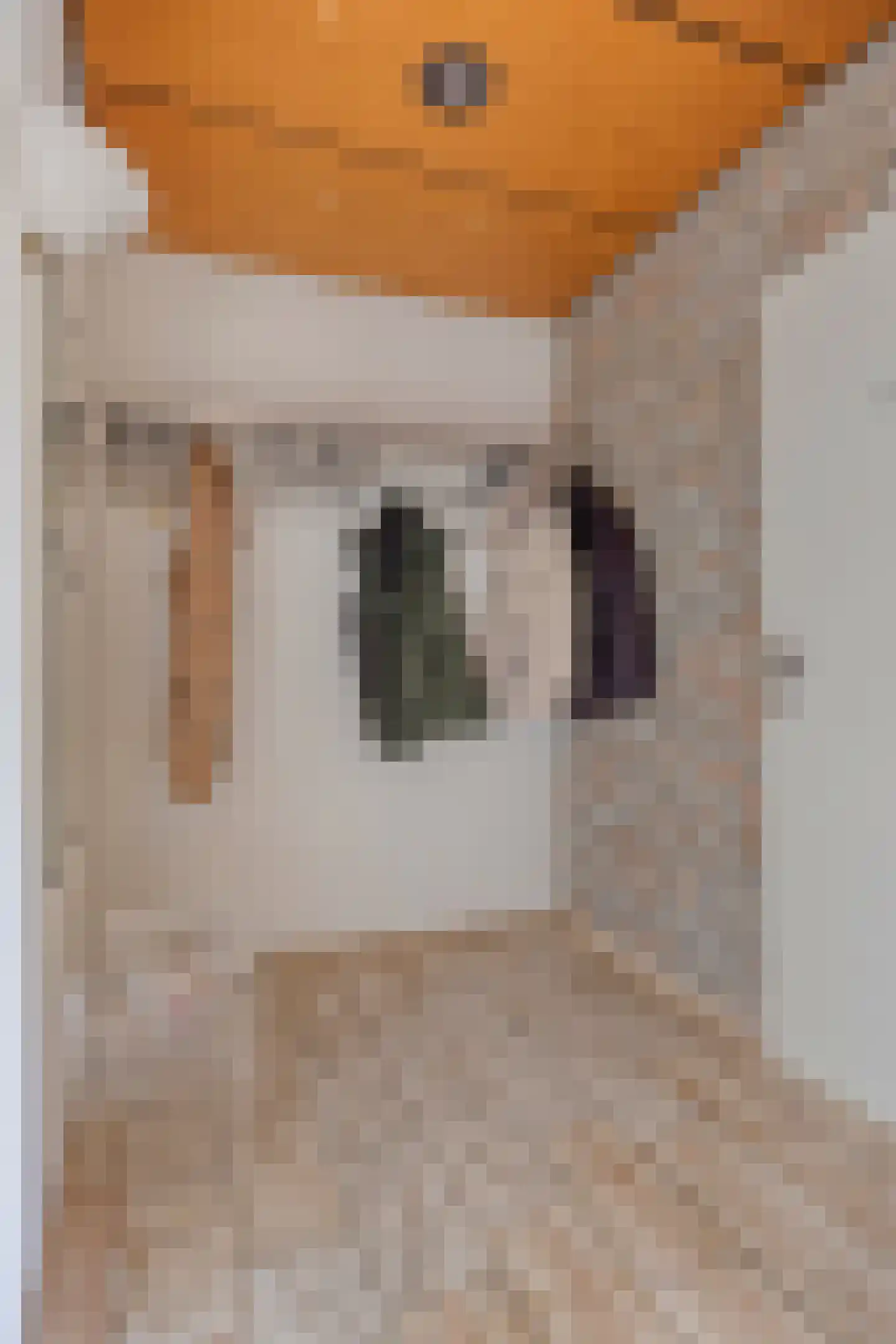 Eekwal 8 Veenendaal thumbnail 11
