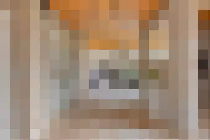 Eekwal 8 Veenendaal thumbnail 14