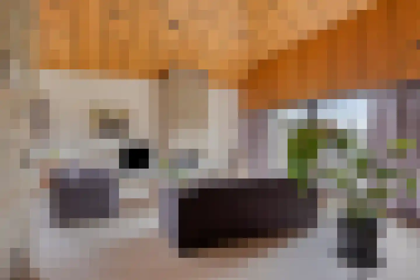 Eekwal 8 Veenendaal thumbnail 15