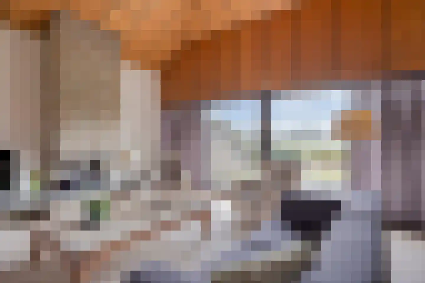 Eekwal 8 Veenendaal thumbnail 16