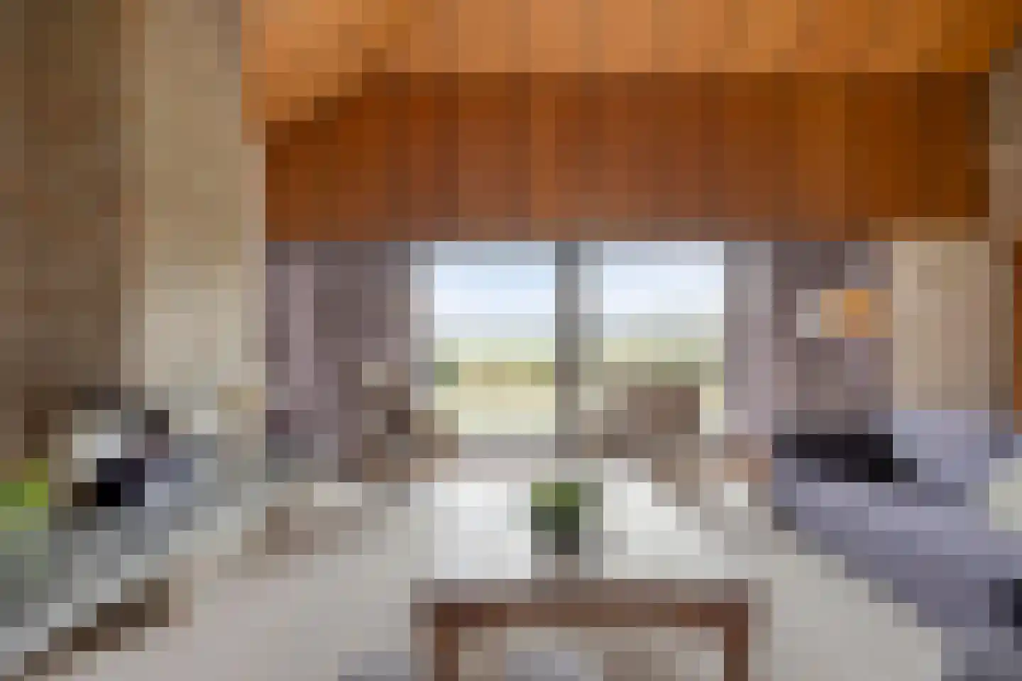 Eekwal 8 Veenendaal thumbnail 17