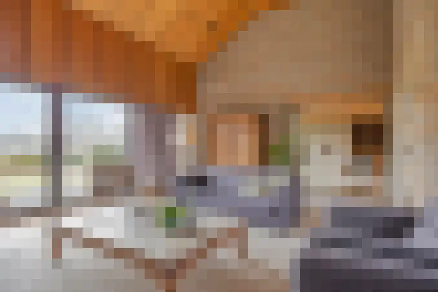 Eekwal 8 Veenendaal thumbnail 18