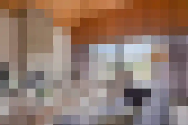 Eekwal 8 Veenendaal foto 2
