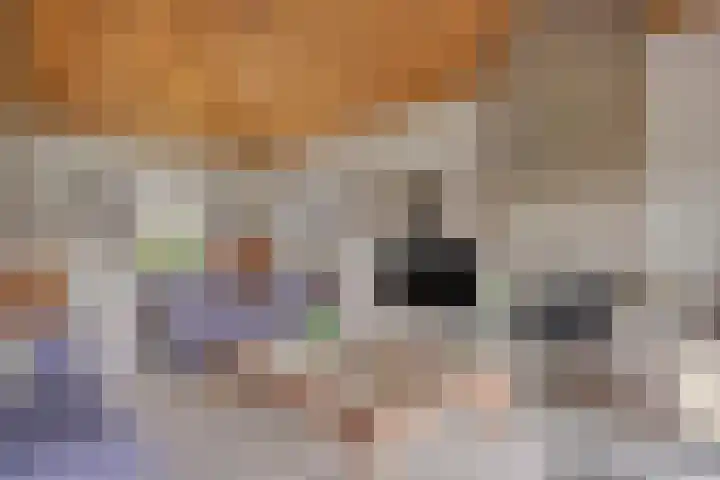 Eekwal 8 Veenendaal thumbnail 20