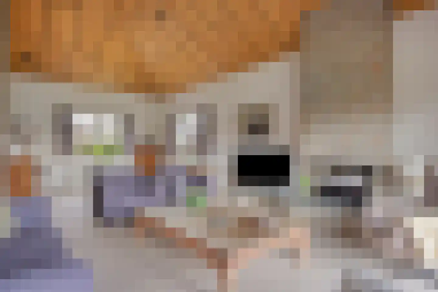 Eekwal 8 Veenendaal thumbnail 20