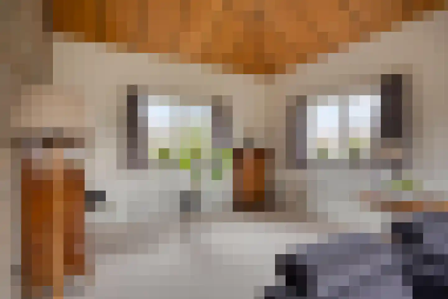 Eekwal 8 Veenendaal thumbnail 21