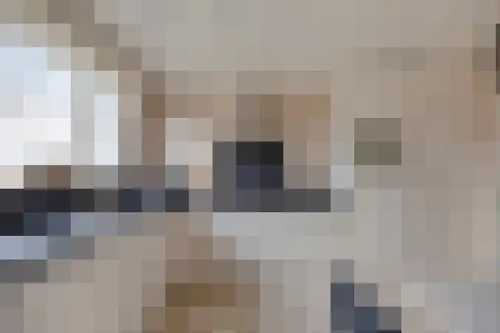 Eekwal 8 Veenendaal thumbnail 23