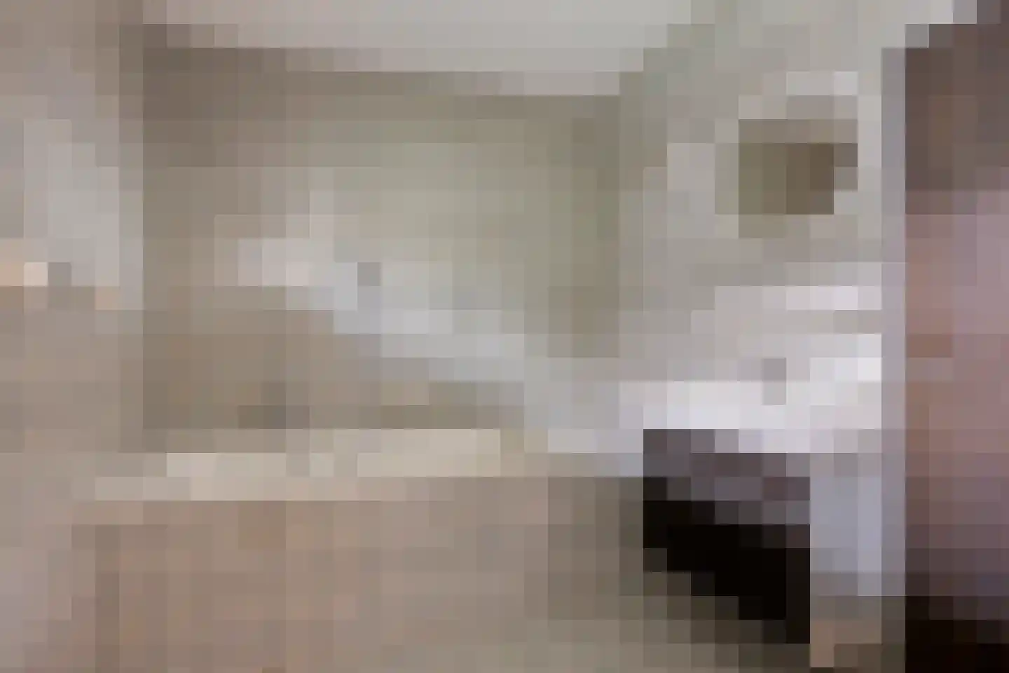 Eekwal 8 Veenendaal thumbnail 31
