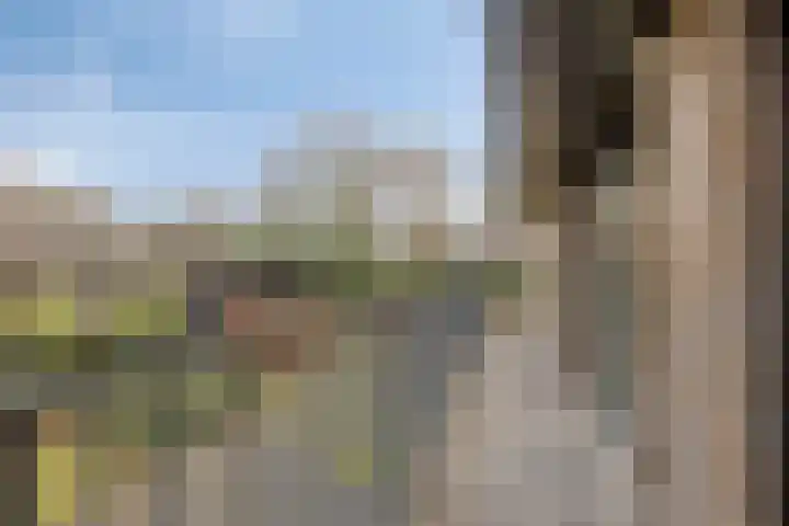 Eekwal 8 Veenendaal thumbnail 38