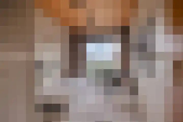 Eekwal 8 Veenendaal thumbnail 39